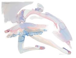 Click on image to view large image in a separate window.